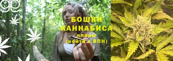 кокс Гусь-Хрустальный