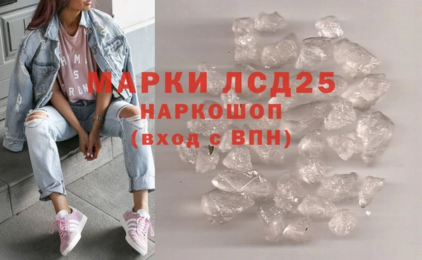 шишки Дмитров